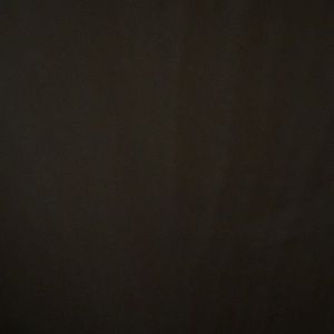 Meet your Posher, Zoila